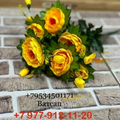 Цветы и Салют 3-4-28 Дима Ашуров