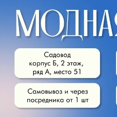 Модная Одежда Корпус Б 2 этаж ряд А место 51