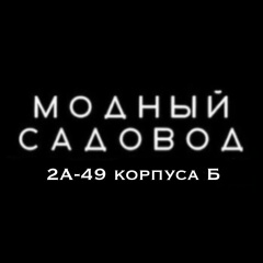 Ориф Сатторов