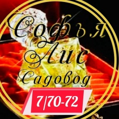 Софья Лис