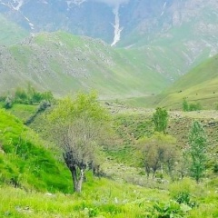 Сайгуфрон Джалолов
