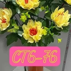 Тхи Тхонг Зоан